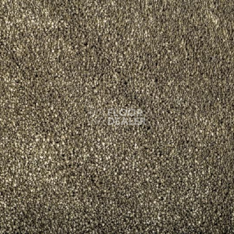 Ковролин Condor Carrera 40 фото 1 | FLOORDEALER